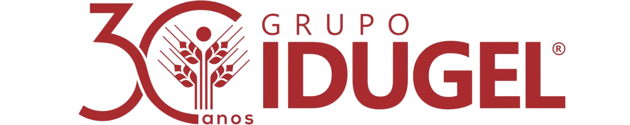 Grupo Idugel